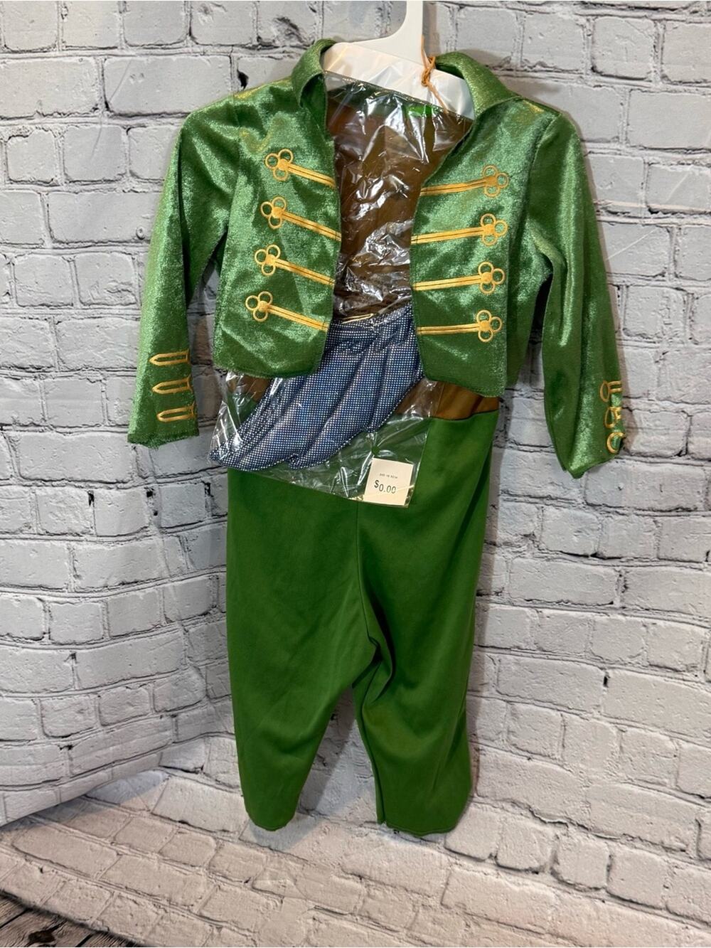 Wicked Flying Monkey Toddler Halloween Costume